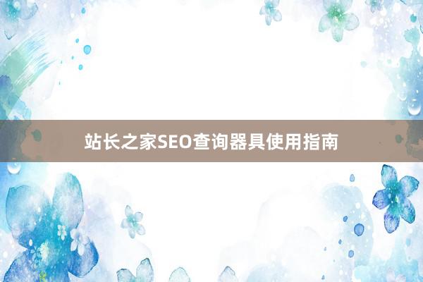 站长之家SEO查询器具使用指南